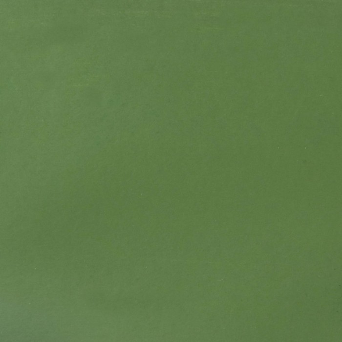 Farba-kredowa-Cosmic-Shimmer-Matt-Chalk-Paint-Ivy_1.jpg