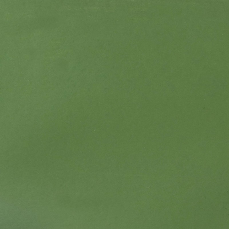 Farba-kredowa-Cosmic-Shimmer-Matt-Chalk-Paint-Ivy_1.jpg
