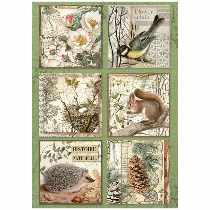 Papier-ryzowy-stamperia-forest-a4-rice-paper-6-cards.jpg