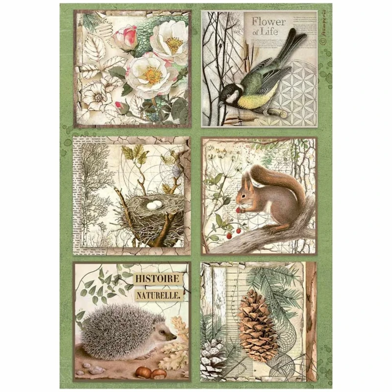 Papier-ryzowy-stamperia-forest-a4-rice-paper-6-cards.jpg