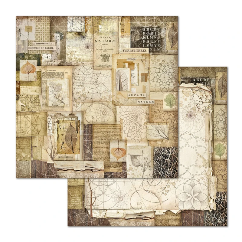 Papier-do-scrapbookingu-30x30-stamperia-forest-sbbl63_8.jpg