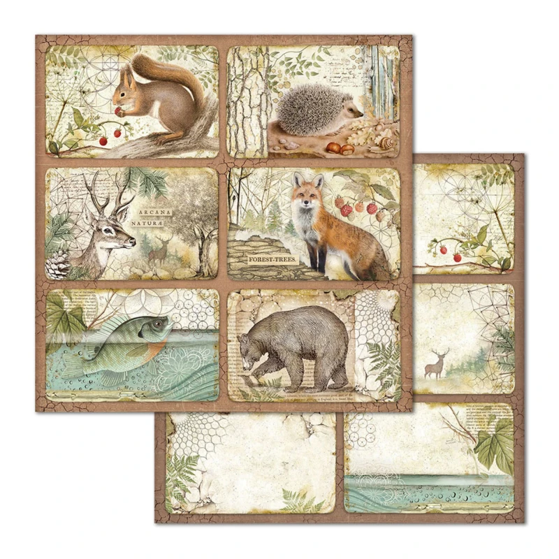 Papier-do-scrapbookingu-30x30-stamperia-forest-sbbl63_9.jpg