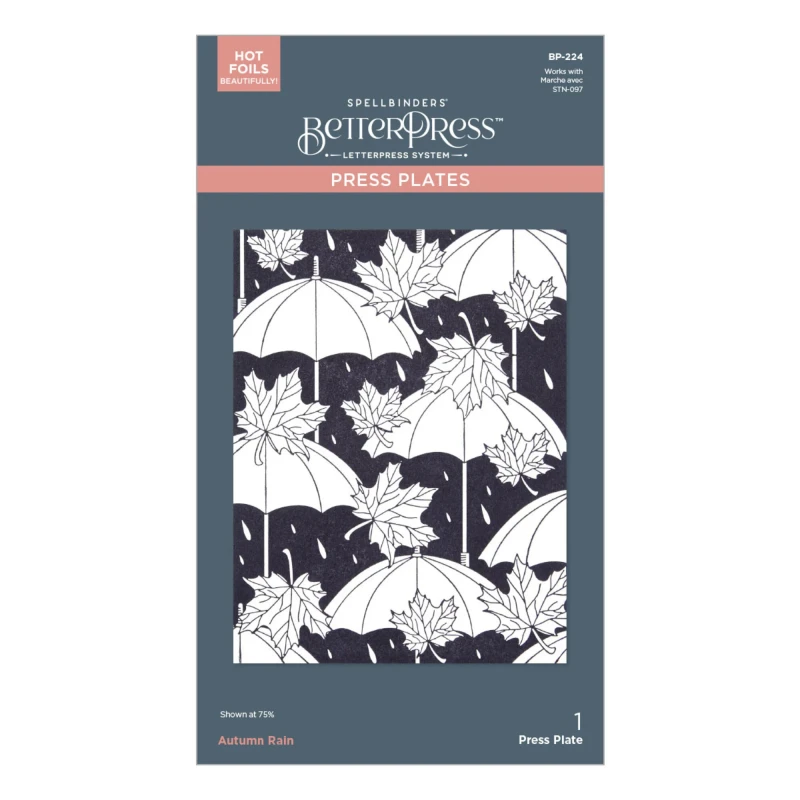 Plytka-do-tloczenia-spellbinders-autumn-rain-press-plate-bp-224_2.jpg