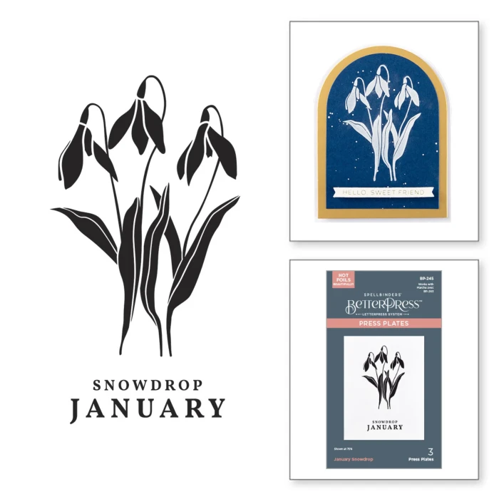 Płytka-do-tloczenia-spellbinders-january-snowdrop-press-plates-bp-245.jpg