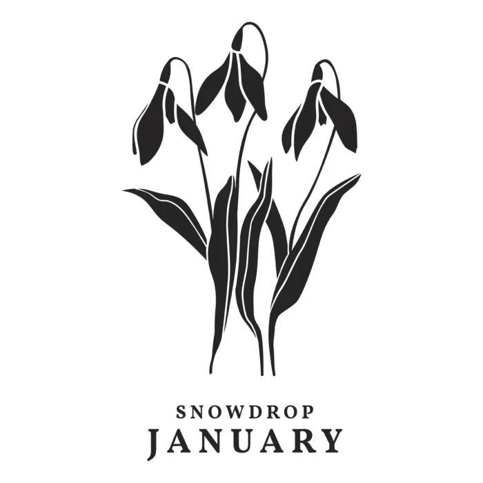 Płytka-do-tloczenia-spellbinders-january-snowdrop-press-plates-bp-245_1.jpg