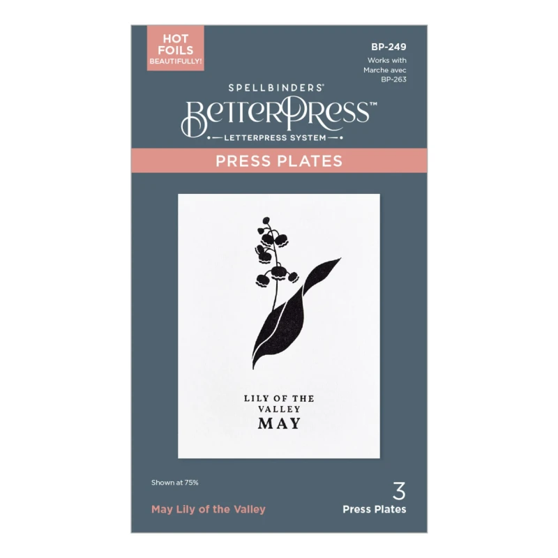 Plytka-do-tloczenia-spellbinders-may-lily-of-the-valley-press-plates-bp-249_2.jpg