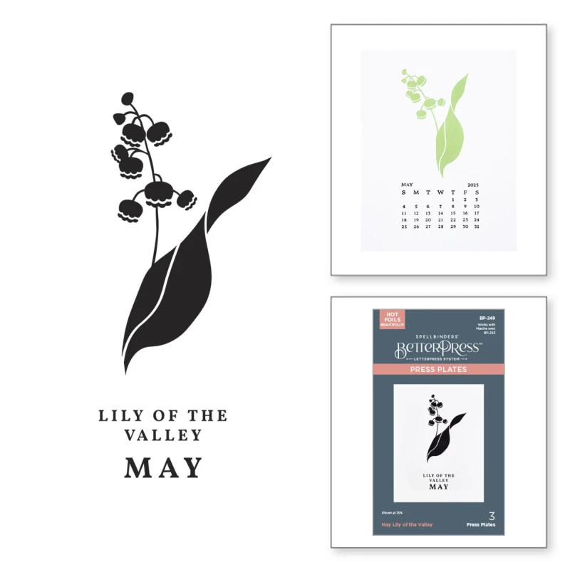 Plytka-do-tloczenia-spellbinders-may-lily-of-the-valley-press-plates-bp-249_3.jpg