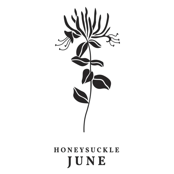 Plytka-do-tloczenia-spellbinders-june-honeysuckle-press-plates-bp-250_1.jpg