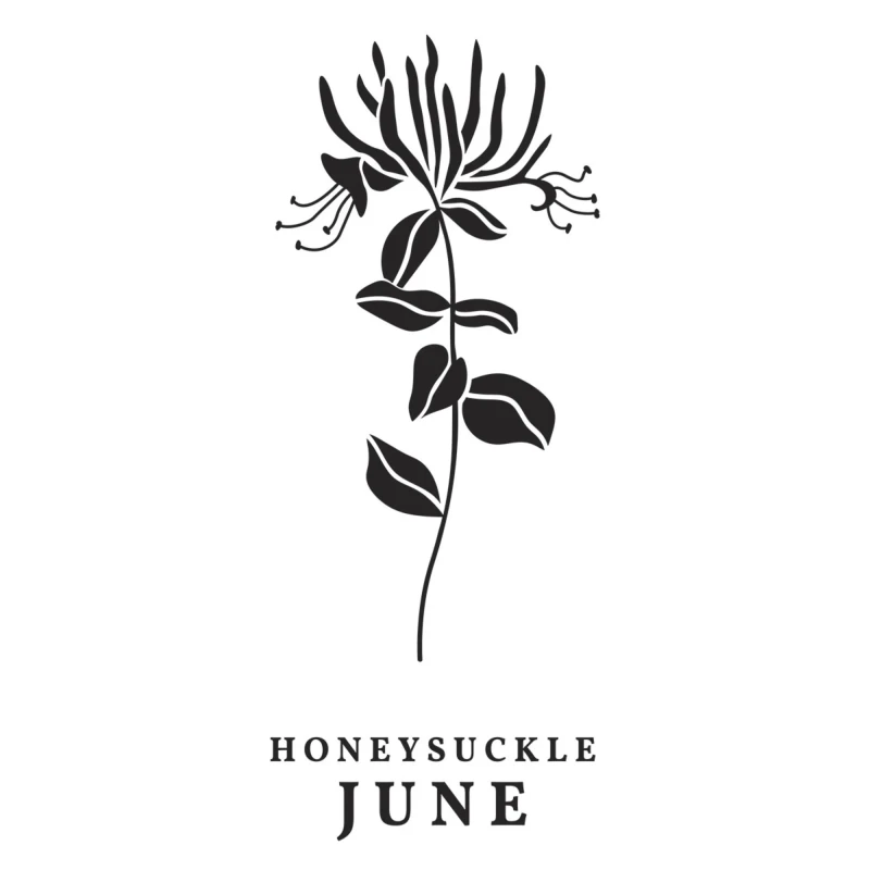Plytka-do-tloczenia-spellbinders-june-honeysuckle-press-plates-bp-250_1.jpg