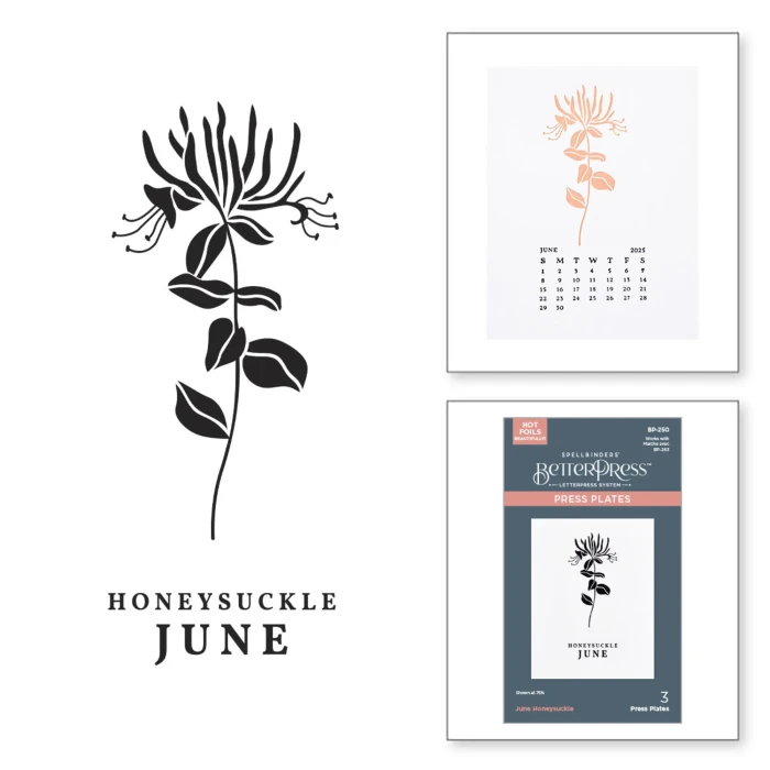 Plytka-do-tloczenia-spellbinders-june-honeysuckle-press-plates-bp-250.jpg