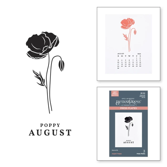 Plytka-do-tloczenia-spellbinders-august-poppy-press-plates-bp-252.jpg