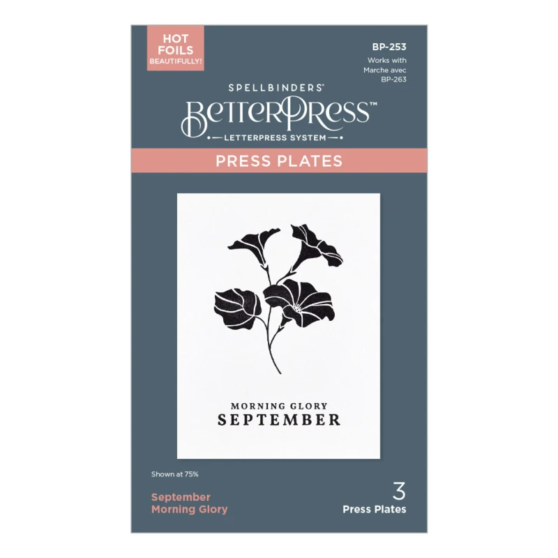 Plytka-do-tloczenia-spellbinders-september-morning-glory-press-plates-pb-253_2.jpg