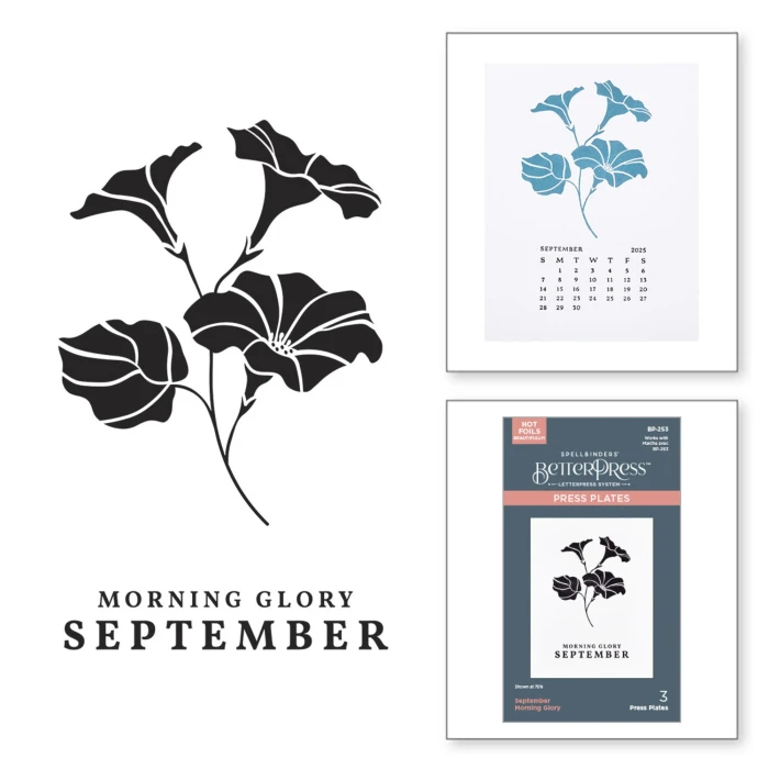 Plytka-do-tloczenia-spellbinders-september-morning-glory-press-plates-pb-253_1.jpg