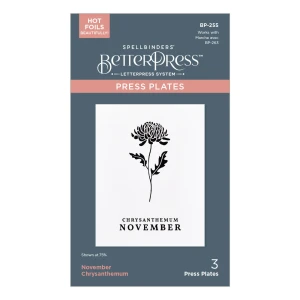Plytka-do-tloczenia-spellbinders-november-chrysanthemum-press-plates-bp-255_2.jpg