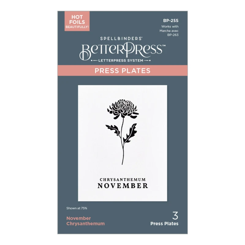 Plytka-do-tloczenia-spellbinders-november-chrysanthemum-press-plates-bp-255_2.jpg