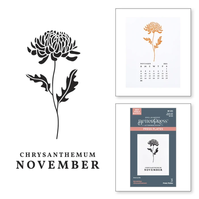 Plytka-do-tloczenia-spellbinders-november-chrysanthemum-press-plates-bp-255.jpg