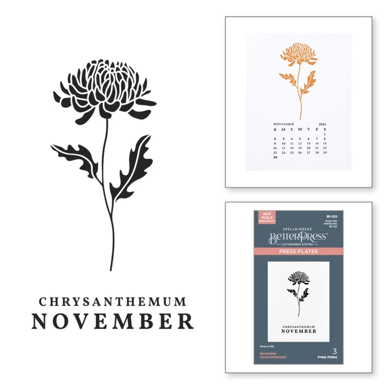 Plytka-do-tloczenia-spellbinders-november-chrysanthemum-press-plates-bp-255.jpg