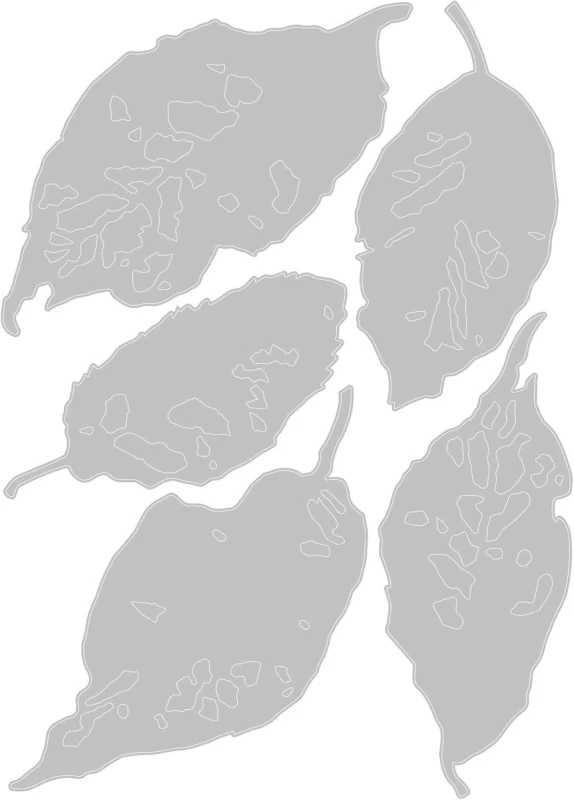 Wtkrojnik-sizzix-thinlits-die-by-tim-holtz-leaf-fragments_1.jpg