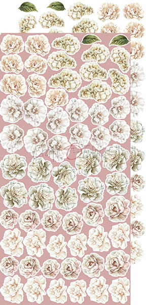 Zestaw-papierow-do-scrapbookingu-15x30-rose-emotions-flowers-CC-C73-RE-11_1.jpg