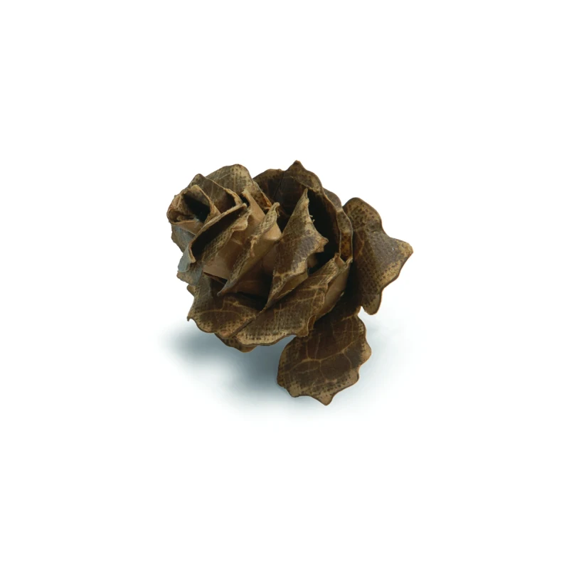 Wykrojnik-bigz-sizzix_pinecone_2.jpg