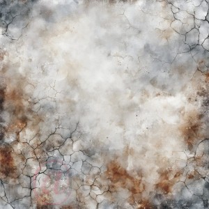 Zestaw-papierow-do-scrapbookingu-30x30-grungy-winter_3b.jpg