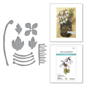 Kwiat-spellbinders-chinese-meadow-rue-s3-527.jpg