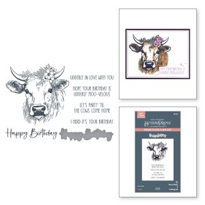 Plytka-do-tloczenia-spellbinders-clover-betterpress-plate-die-set-bp-2.jpg