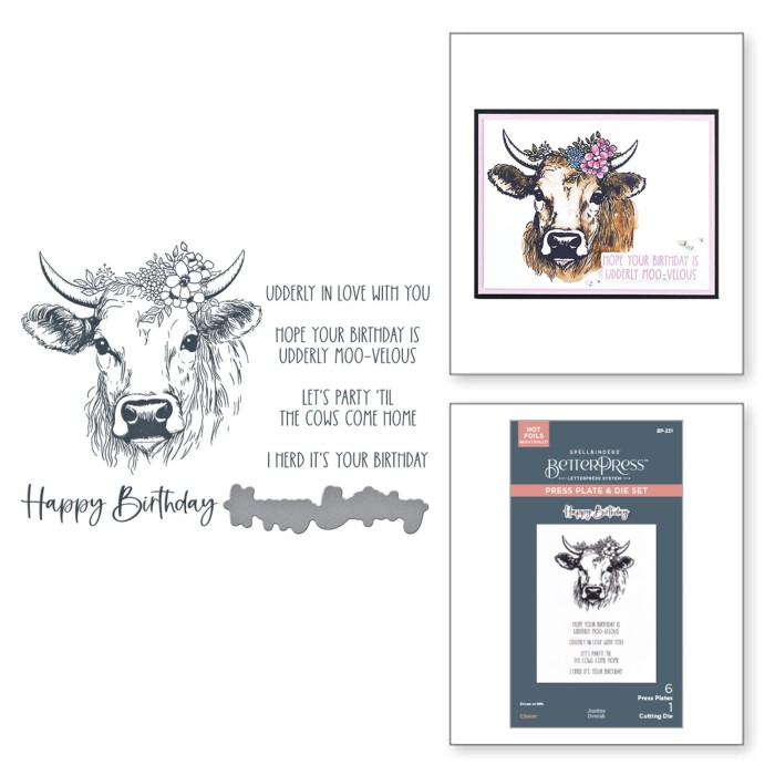 Plytka-do-tloczenia-spellbinders-clover-betterpress-plate-die-set-bp-2.jpg