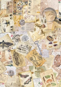 Zestaw-papierow-ryzowych-ciao-bella-cabinet-of-curiosities-a5-rice-paper-mix-8pcs(3).jpg