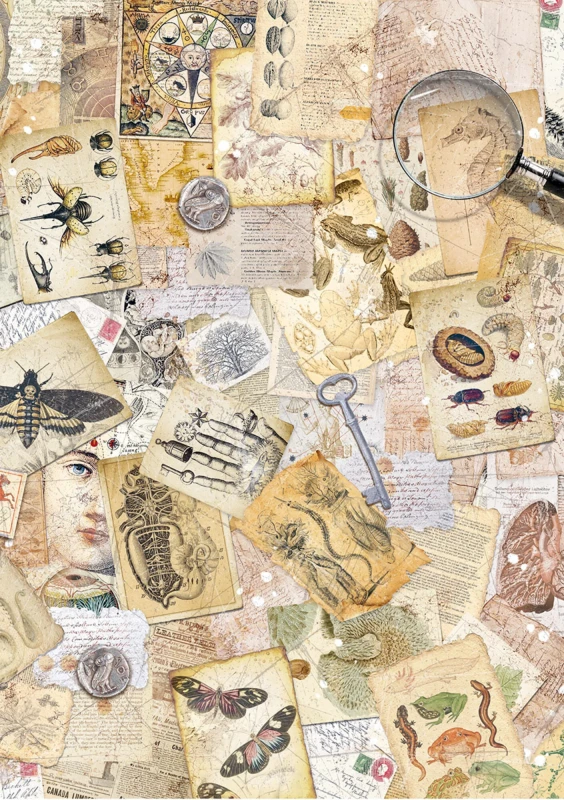 Zestaw-papierow-ryzowych-ciao-bella-cabinet-of-curiosities-a5-rice-paper-mix-8pcs(3).jpg