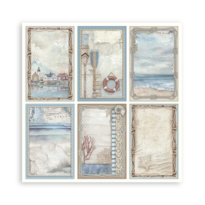SBBS125_8B.jpg