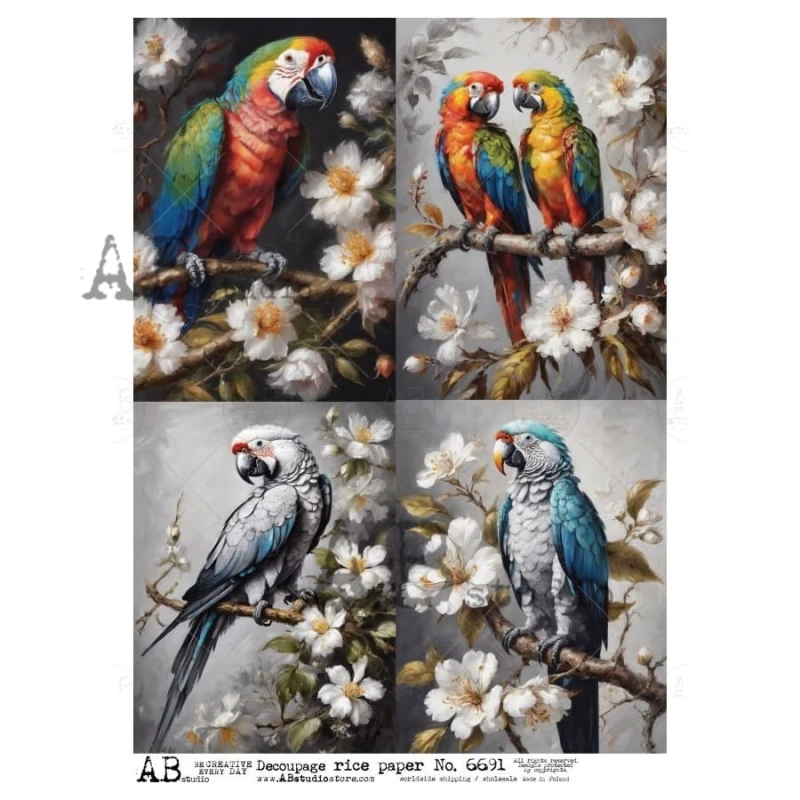papier-decoupage-ryzowy-a4-id-6691.jpg