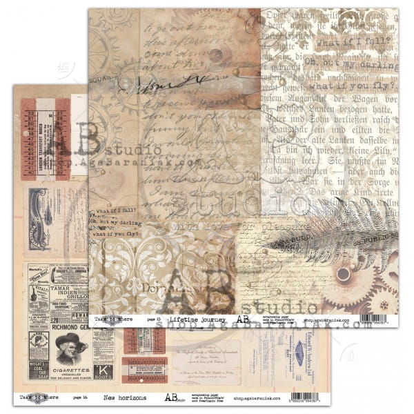 papier-do-scrapbookingu-take-me-there-1516-lifetime-journey-new-horizons-30x30.jpg