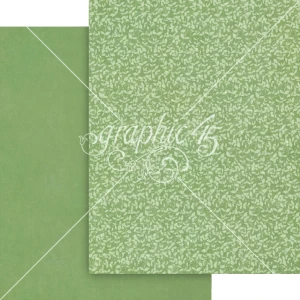 Zestaw-papierow-do-scrapbookingu-graphic-45-fairy-boutique-85x11-inch-patterns-and-solids.pack_2.jpg
