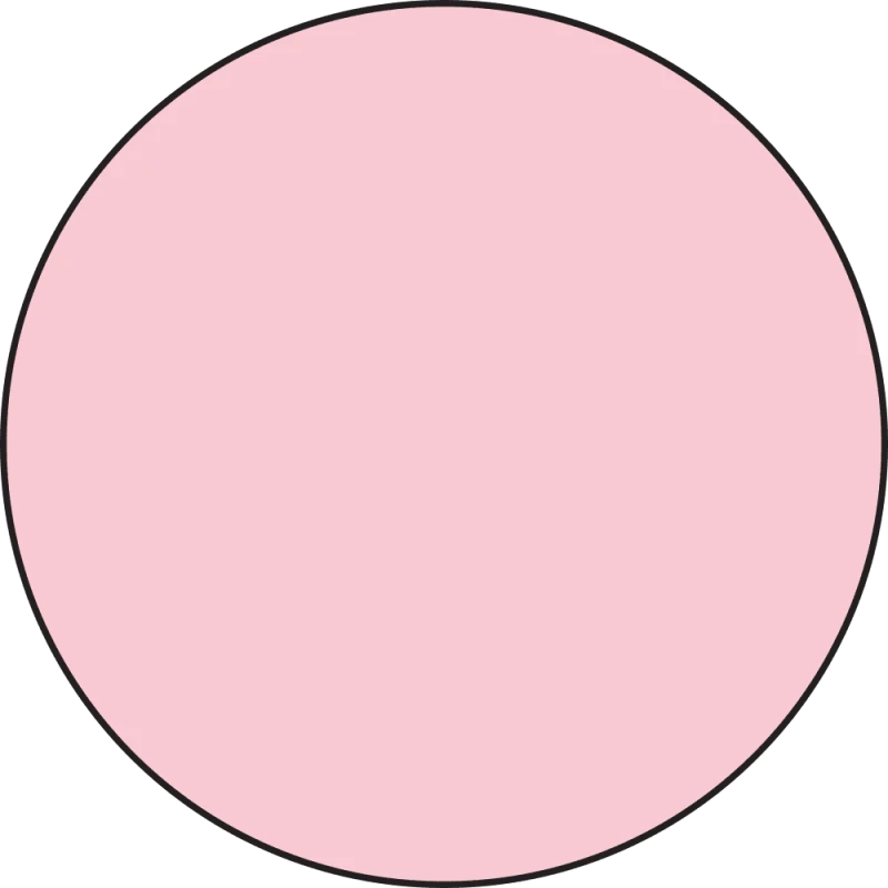 Mgielka-ranger-dina-wakley-media-gloss-sprays-carnation_2.jpg