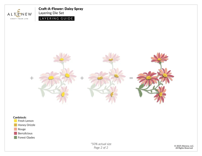 Wyklrojnik-altenew--craft-a-flower-daisy-spray_2.jpg