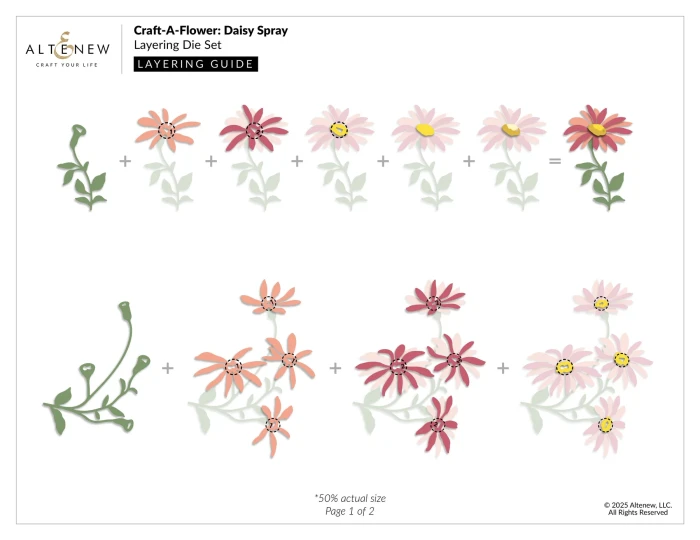 Wyklrojnik-altenew--craft-a-flower-daisy-spray_1.jpg