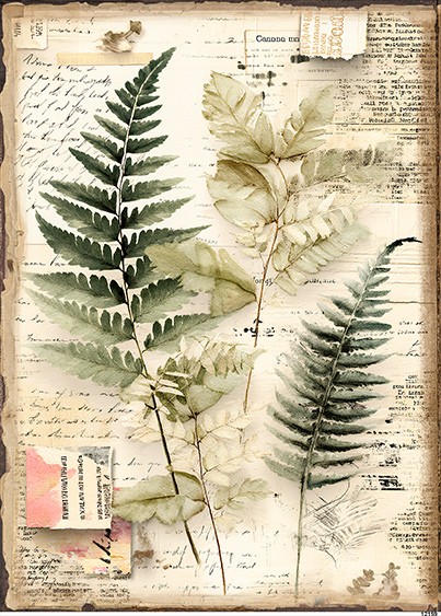 Papier-ryzowy-CN12159-A6.jpg