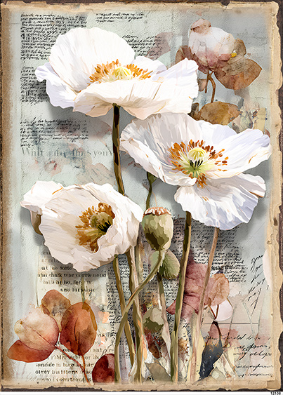 Papier-ryzowy-CN12138-A6.jpg
