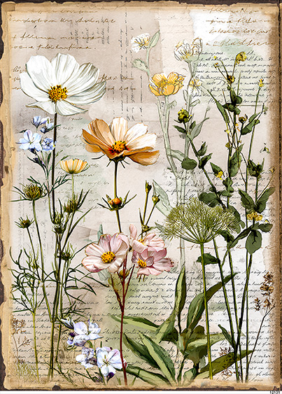 Papier-ryzowy-CN12131-A6.jpg