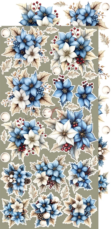CC-C79-JS-13_03.webp