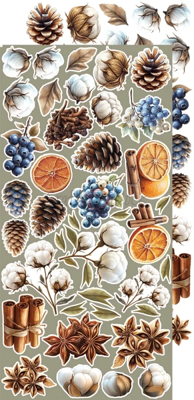 CC-C79-JS-13_05.webp