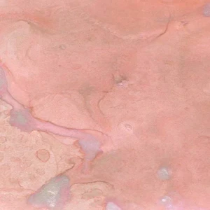 Mgielka-lindys-wild_honeysuckle_coral_1.jpg
