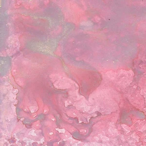 Mgielka-lindys-alpine_ice_rose_1.jpg