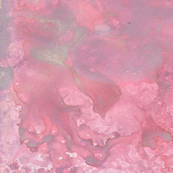 Mgielka-lindys-alpine_ice_rose_1.jpg