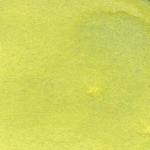 Mgielka-lindys-rustylanternlime_1.jpg