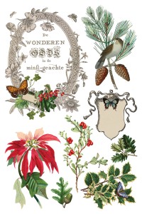Transfer-winter-botanist.jpg