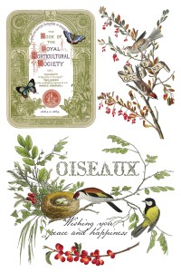Transfer-winter-botanist.jpg