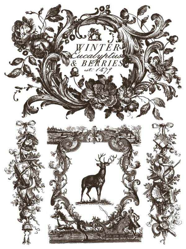 Transfer-twelfth-night.jpg