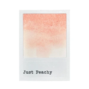 Tusz-ranger-49-market-dye-ink-pad-just-peachy_2.jpg